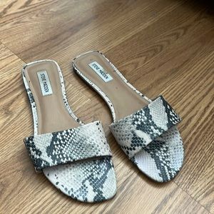 Steve Madden Snake Print Slide Sandals in Black and White